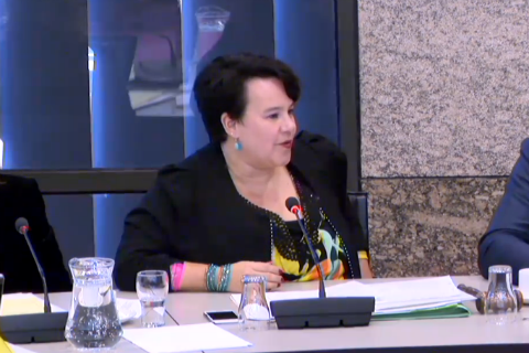 Staatssecretaris Sharon Dijksma tijdens een debat in de Tweede Kamer