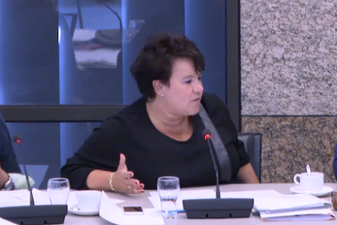 Staatssecretaris Sharon Dijksma tijdens een debat in de Tweede Kamer