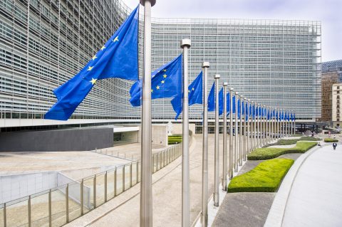Vlaggen voor het Berlaymontgebouw