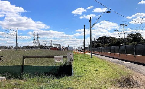 Hekken ter bescherming van hagedissen bij het spoor in Melbourne