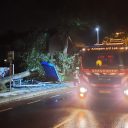 In Krimpen aan de Lek is een bushalte verpletterd door een omgevallen boom, foto: ANP