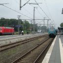 Treinen op station Bad Bentheim
