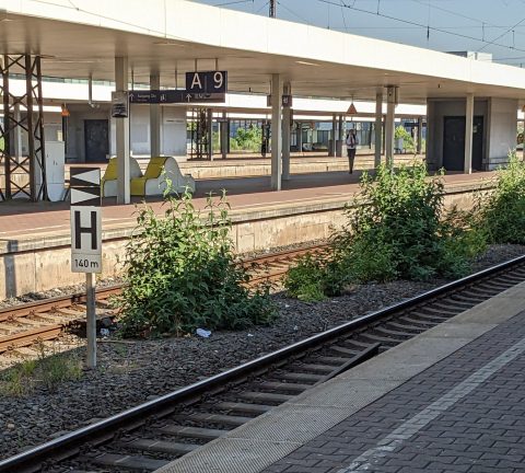 Station Duisburg in Duitsland.